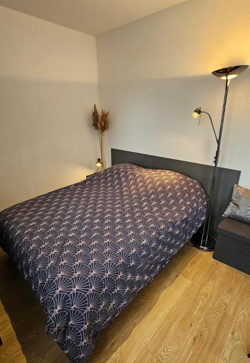 Studio Les Deux Grenouilles 5Mn De Colmar Herrlisheim-près-Colmar Екстериор снимка